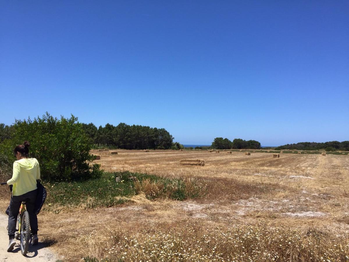 Casinha Da Cabra, Casas Do Poente, Rogil, Aljezur Βίλα Εξωτερικό φωτογραφία